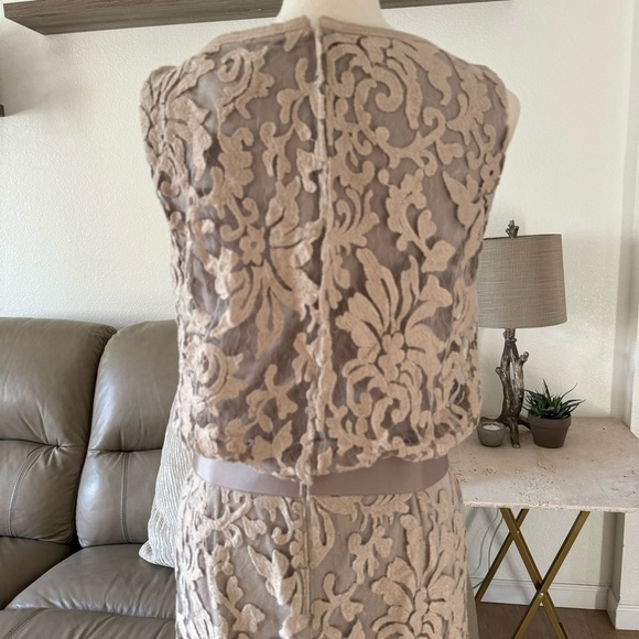 Tadashi Shoji Blouson Sand Beige Floral Lace
Overlay Cocktail Dress Size 8 - Picture 5 of 17